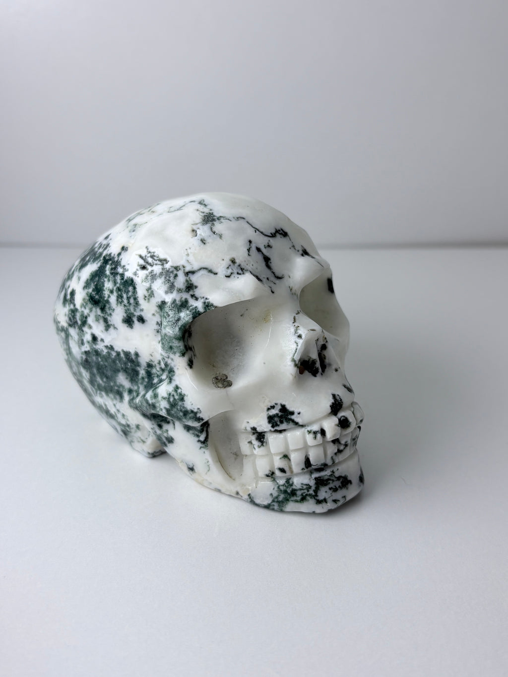 Moss Agate Druzy Skull