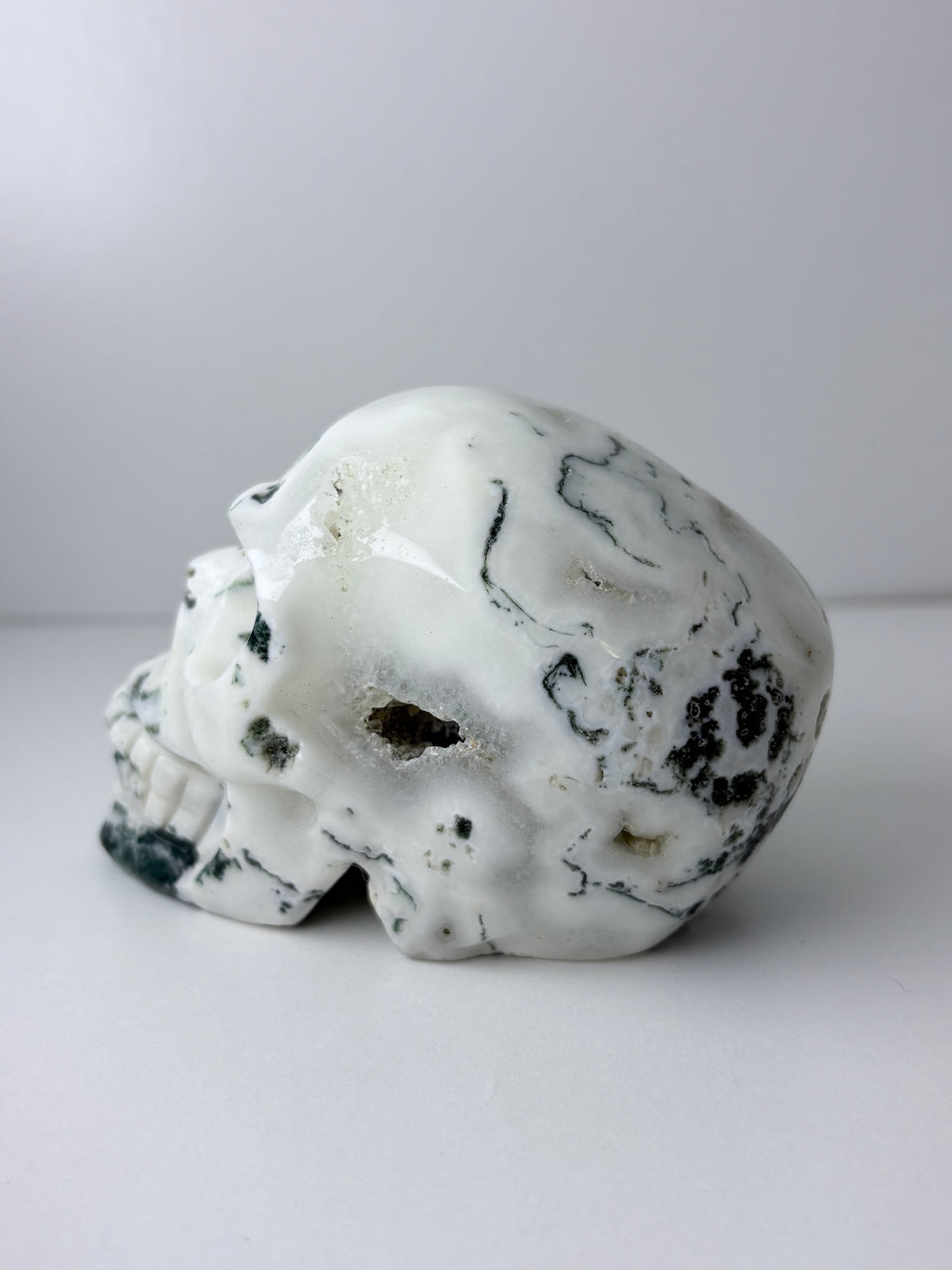 Moss Agate Druzy Skull