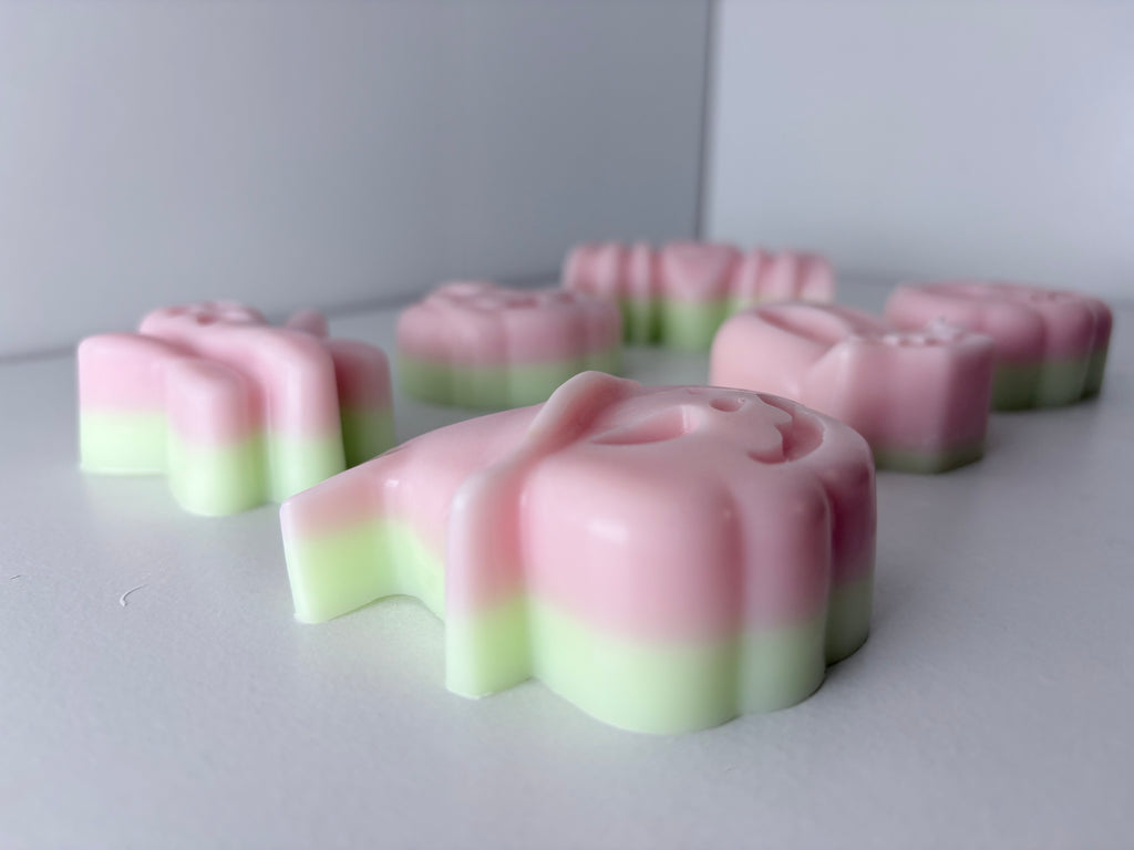 Melon Macabre Wax Melt